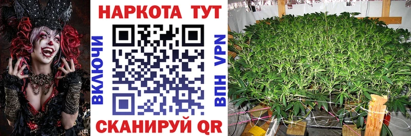 Где можно купить наркотики Балаково АМФЕТАМИН  МЕФ  Гашиш  Альфа ПВП  Марихуана  Кокаин 