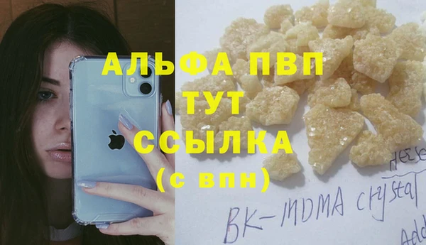 PSILOCYBIN Новодвинск
