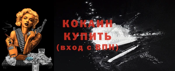 ПСИЛОЦИБИНОВЫЕ ГРИБЫ Лихославль