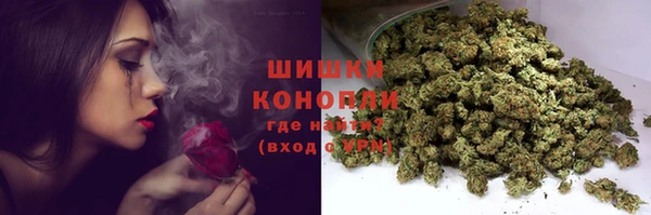 ПСИЛОЦИБИНОВЫЕ ГРИБЫ Лихославль