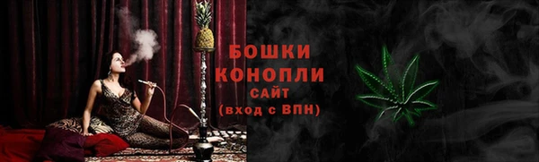 ПСИЛОЦИБИНОВЫЕ ГРИБЫ Лихославль