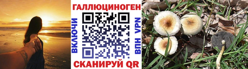 закладка  Балаково  Галлюциногенные грибы Magic Shrooms 
