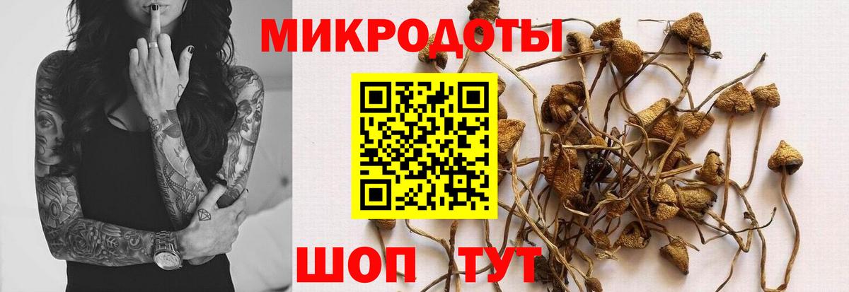 Псилоцибиновые грибы MAGIC MUSHROOMS Балаково