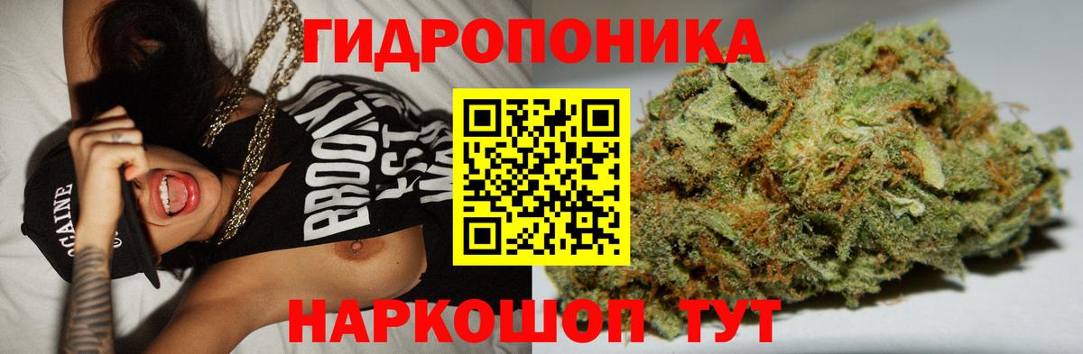 Бошки марихуана семена  Марихуана THC 21%  Балаково  Бошки марихуана VHQ  Конопля сатива  Вход с VPN 